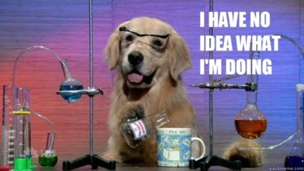 60 - science dog