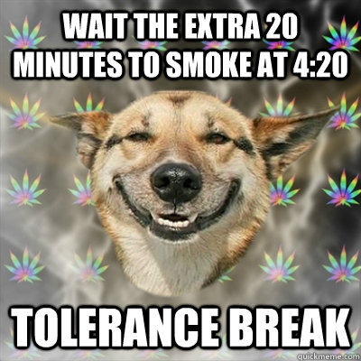 wait the extra 20 minutes to smoke at 420 tolerance break - Stoner Dog