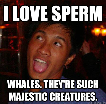 i love sperm whales theyre such majestic creatures Ambiguously Gay