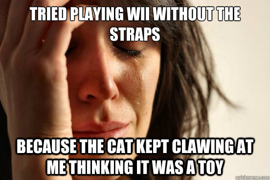 Owning a cat is not all cheezburgerz and poptartz
