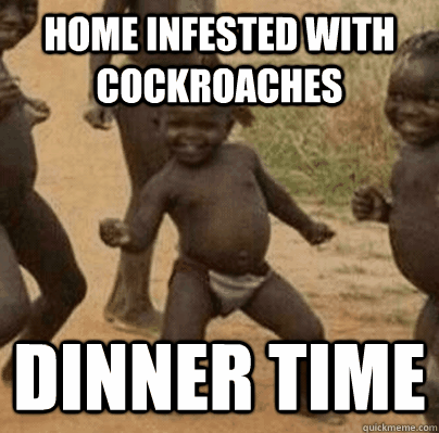 home infested with cockroaches dinner time - Third World Success