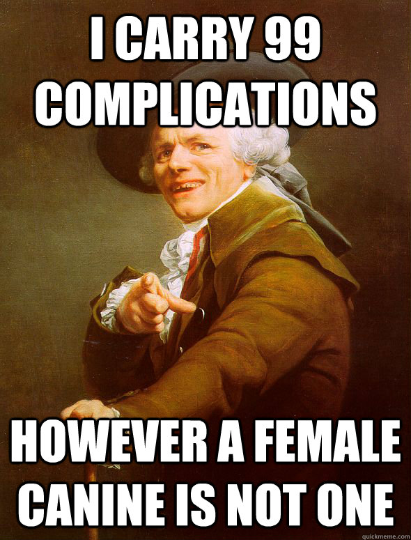 i carry 99 complications however a female canine is not one - Joseph Ducreux