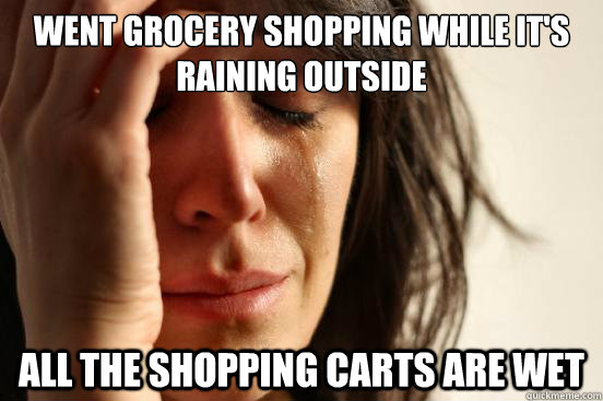 went grocery shopping while its raining outside all the sho - First World Problems