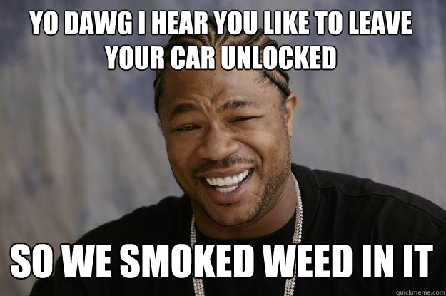 yo dawg i hear you like to leave your car unlocked so we smo - Xzibit meme
