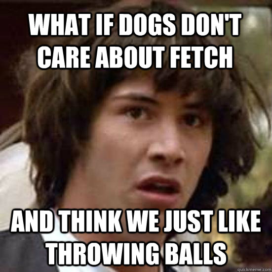 what if dogs dont care about fetch and think we just like t - conspiracy keanu