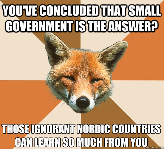 youve concluded that small government is the answer those - Condescending Fox