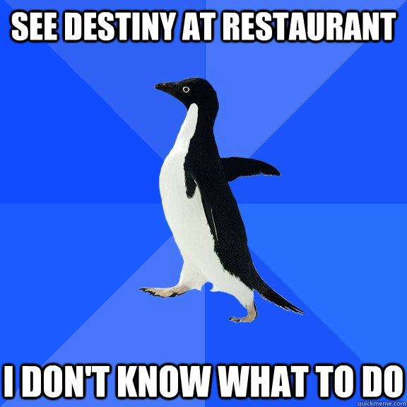 see destiny at restaurant i dont know what to do - Socially Awkward Penguin
