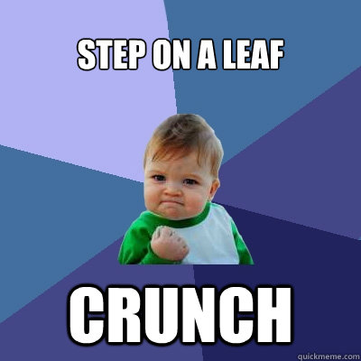 step on a leaf crunch - Success Kid