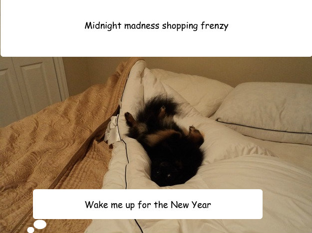 midnight madness shopping frenzy wake me up for the new year - Dog of lesisure