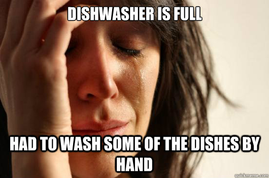 dishwasher is full had to wash some of the dishes by hand - First World Problems
