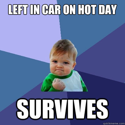 left in car on hot day survives - Success Kid