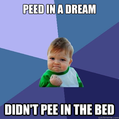 peed in a dream didnt pee in the bed - Success Kid
