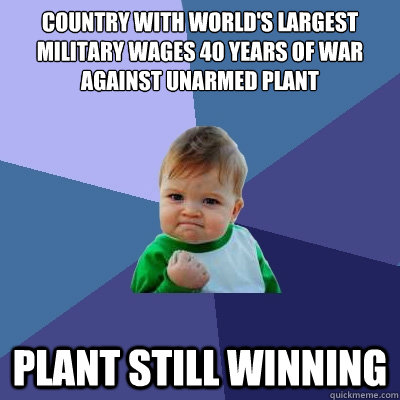 country with worlds largest military wages 40 years of war - Success Kid