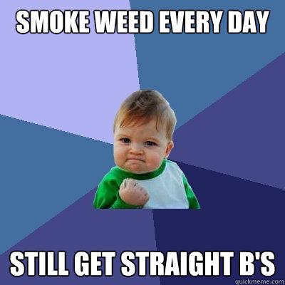 smoke weed every day still get straight bs - Success Kid