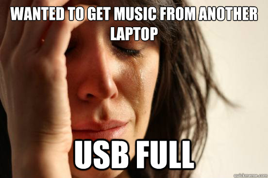 wanted to get music from another laptop usb full - First World Problems