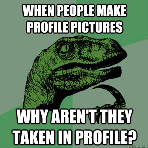 when people make profile pictures why arent they taken in p - Philosoraptor