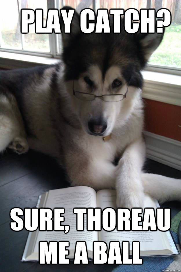play catch sure thoreau me a ball - Condescending Literary Pun Dog
