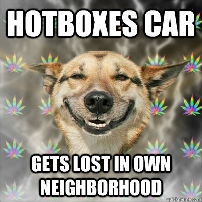 hotboxes car gets lost in own neighborhood - Stoner Dog