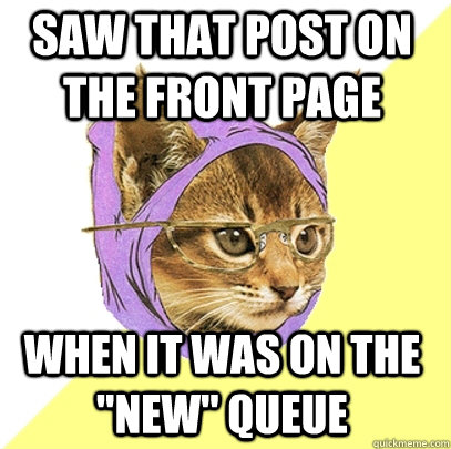 saw that post on the front page when it was on the new que - Hipster Kitty