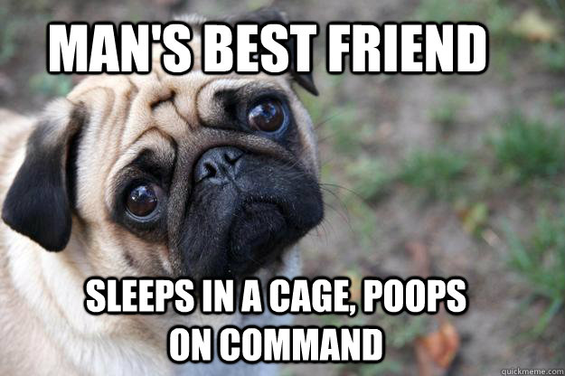 mans best friend sleeps in a cage poops on command - First World Dog Problems