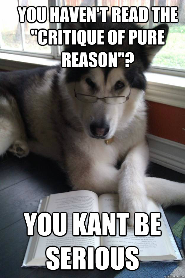 you havent read the critique of pure reason you kant be - Condescending Literary Pun Dog