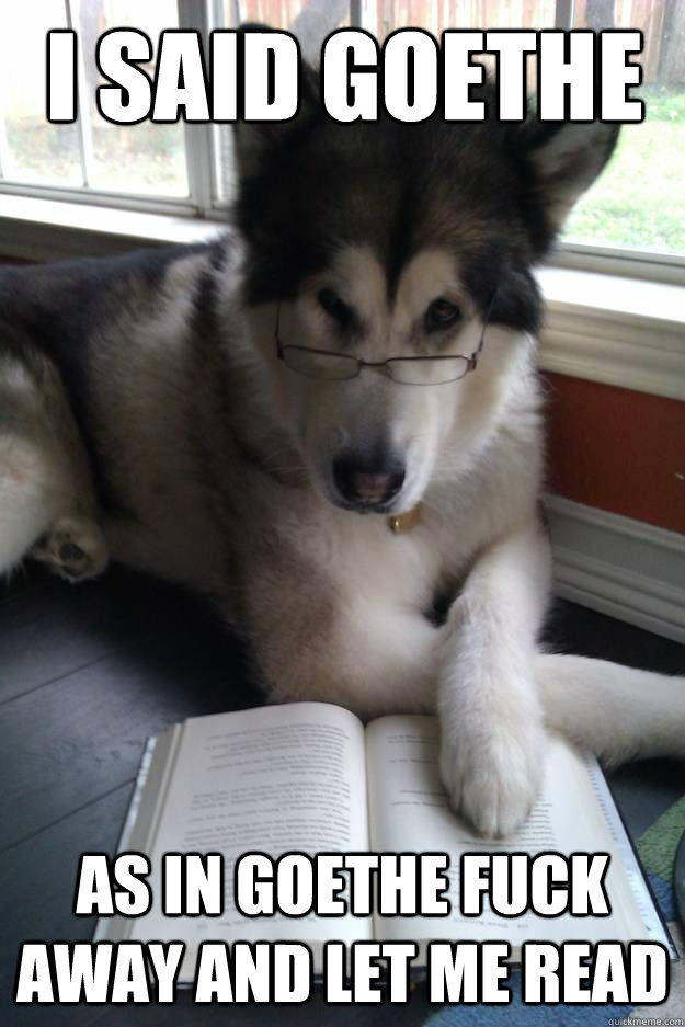 i said goethe as in goethe fuck away and let me read - Condescending Literary Pun Dog