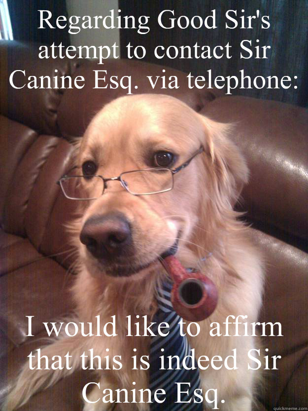 regarding good sirs attempt to contact sir canine esq via - Sir Canine Esq.