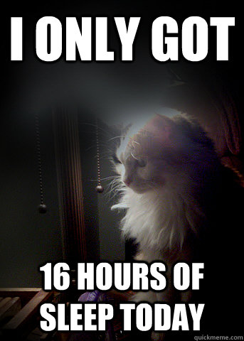 i only got 16 hours of sleep today - First World Cat Problems