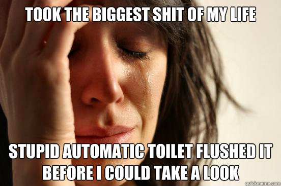 took the biggest shit of my life stupid automatic toilet flu - First World Problems