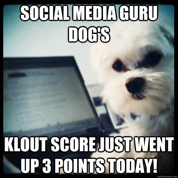 Guru Dogs