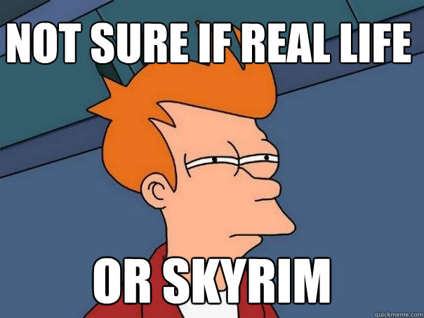 not sure if real life or skyrim - Futurama Fry