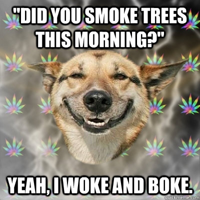 did you smoke trees this morning yeah i woke and boke - Stoner Dog