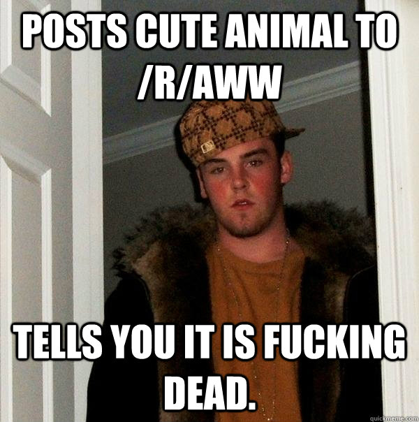 posts cute animal to raww tells you it is fucking dead - Scumbag Steve