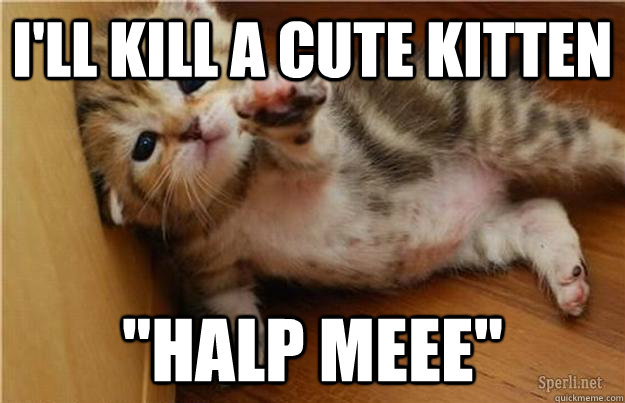 ill kill a cute kitten halp meee - Halp me kitten