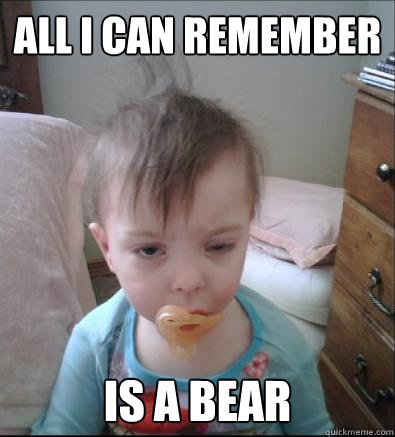 all i can remember is a bear - Party Toddler