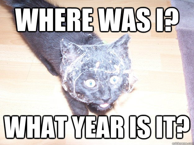 where was i what year is it - amazedkitten