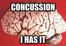 concussion i has it - NHL Concussion
