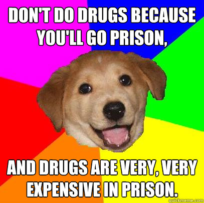 dont do drugs because youll go prison and drugs are very - Advice Dog
