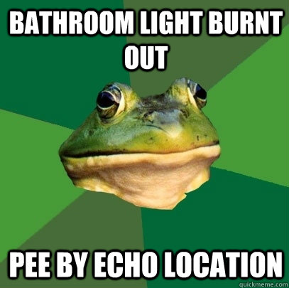 bathroom light burnt out pee by echo location - Foul Bachelor Frog