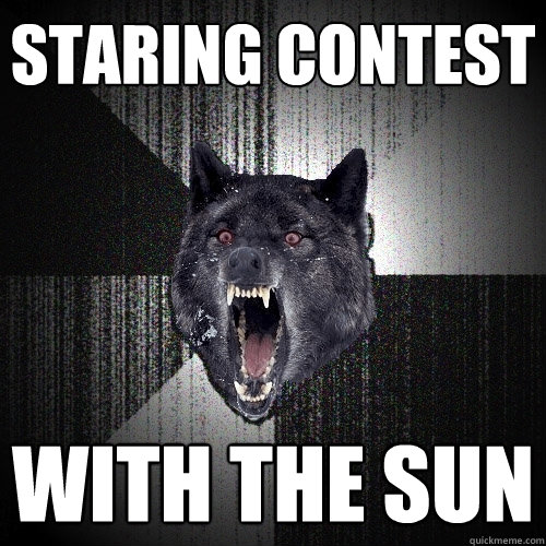 staring contest with the sun - Insanity Wolf