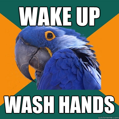 wake up wash hands - Paranoid Parrot