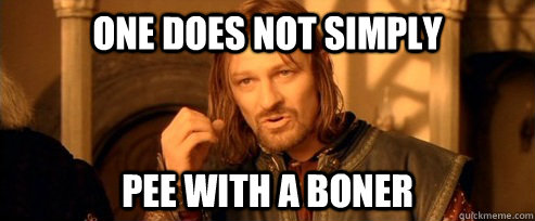 one does not simply pee with a boner - One Does Not Simply