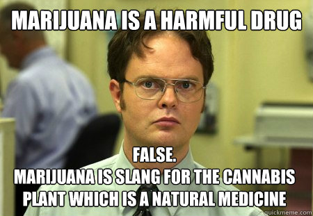 marijuana is a harmful drug false marijuana is slang for t - Dwight
