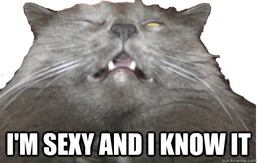 im sexy and i know it - FatCat