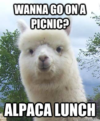 wanna go on a picnic alpaca lunch - Alpaca-pun Alpaca
