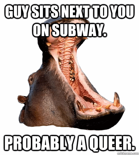 Hippo Guy