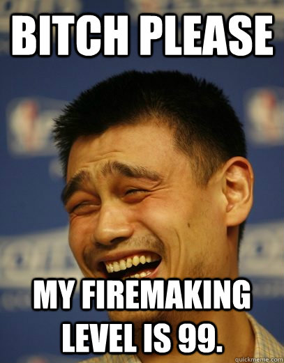 bitch please my firemaking level is 99 - Yao Ming Nobody cares