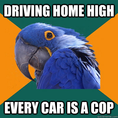 driving home high every car is a cop - Paranoid Parrot
