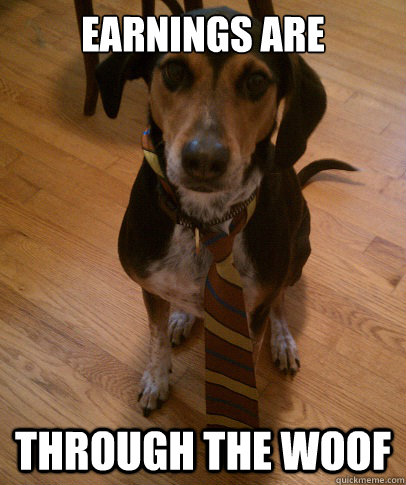 earnings are through the woof - Business Dog