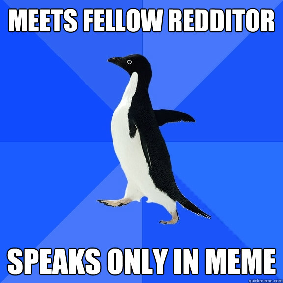 meets fellow redditor speaks only in meme - Socially Awkward Penguin